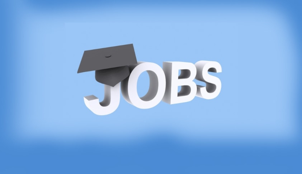 Collector Office 2023 Jobs Recruitment Notification of Law Officer Posts