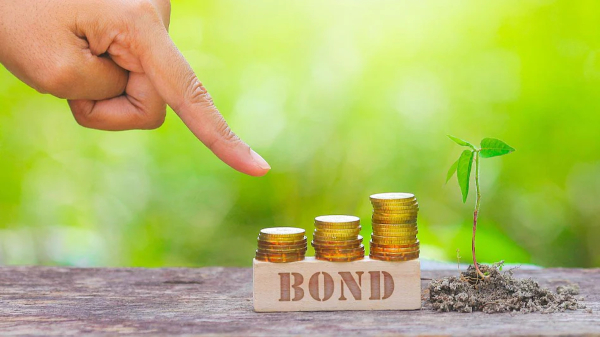 Pension funds to invest in sovereign green bonds (SGrBs): How it will impact retail investors?